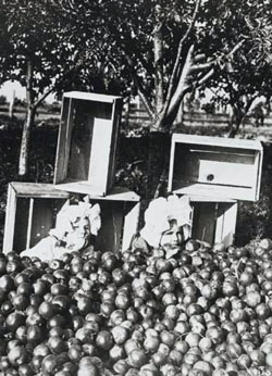 Two girls sitting with apples